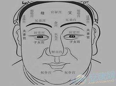 額頭 日月角|解讀日月角的面相學